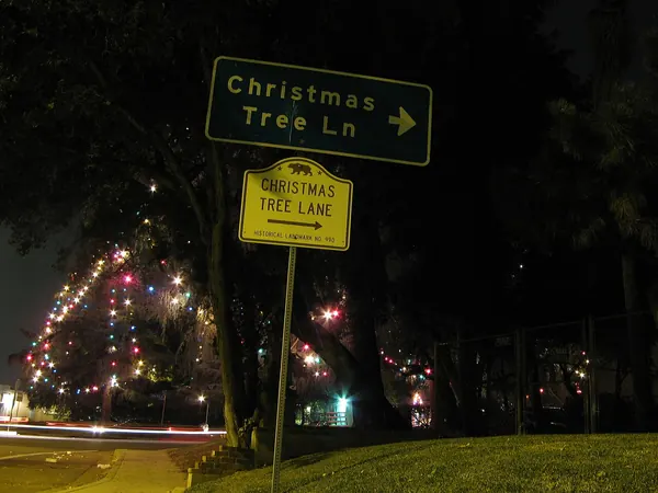 Christmas Tree Lane street sign beside the lit deodar trees on Santa Rosa Avenue, Altadena, California