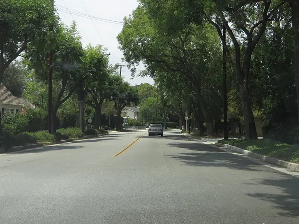 Tree-lined residential street in South Pasadena, California